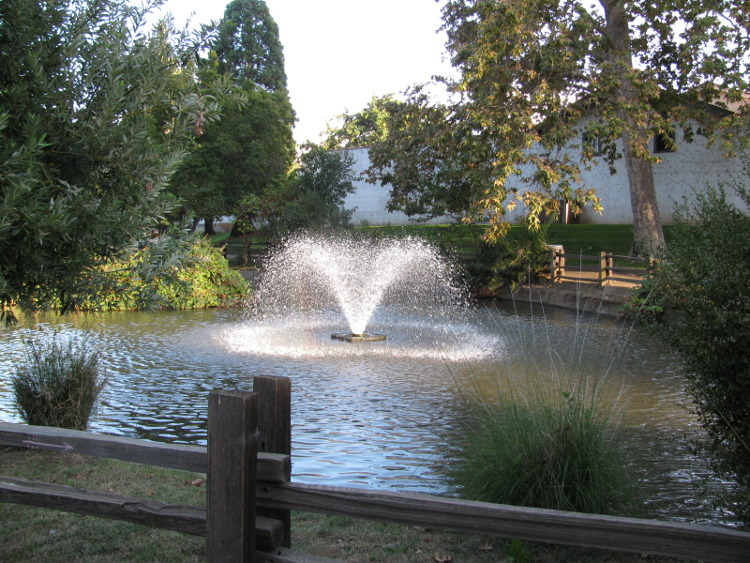 Sutters Fort in Midtown Sacramento is a nice place to relax.